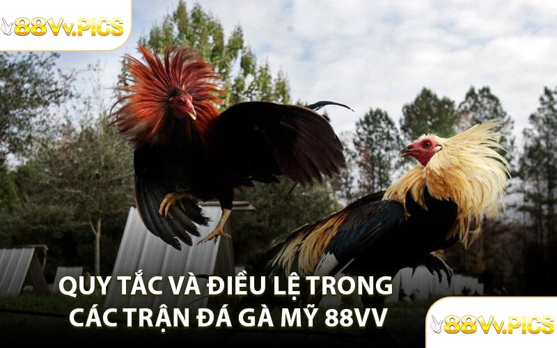 Quy tắc và điều lệ trong các trận đá gà Mỹ 88VV