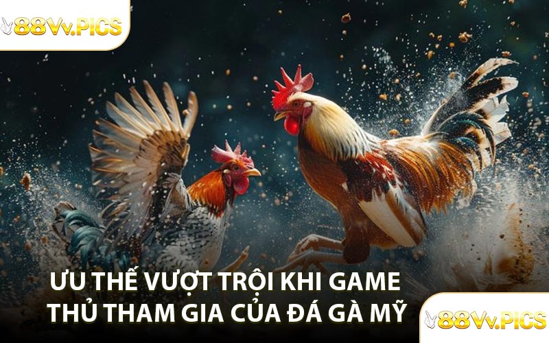Ưu thế vượt trội khi game thủ tham gia của đá gà Mỹ
